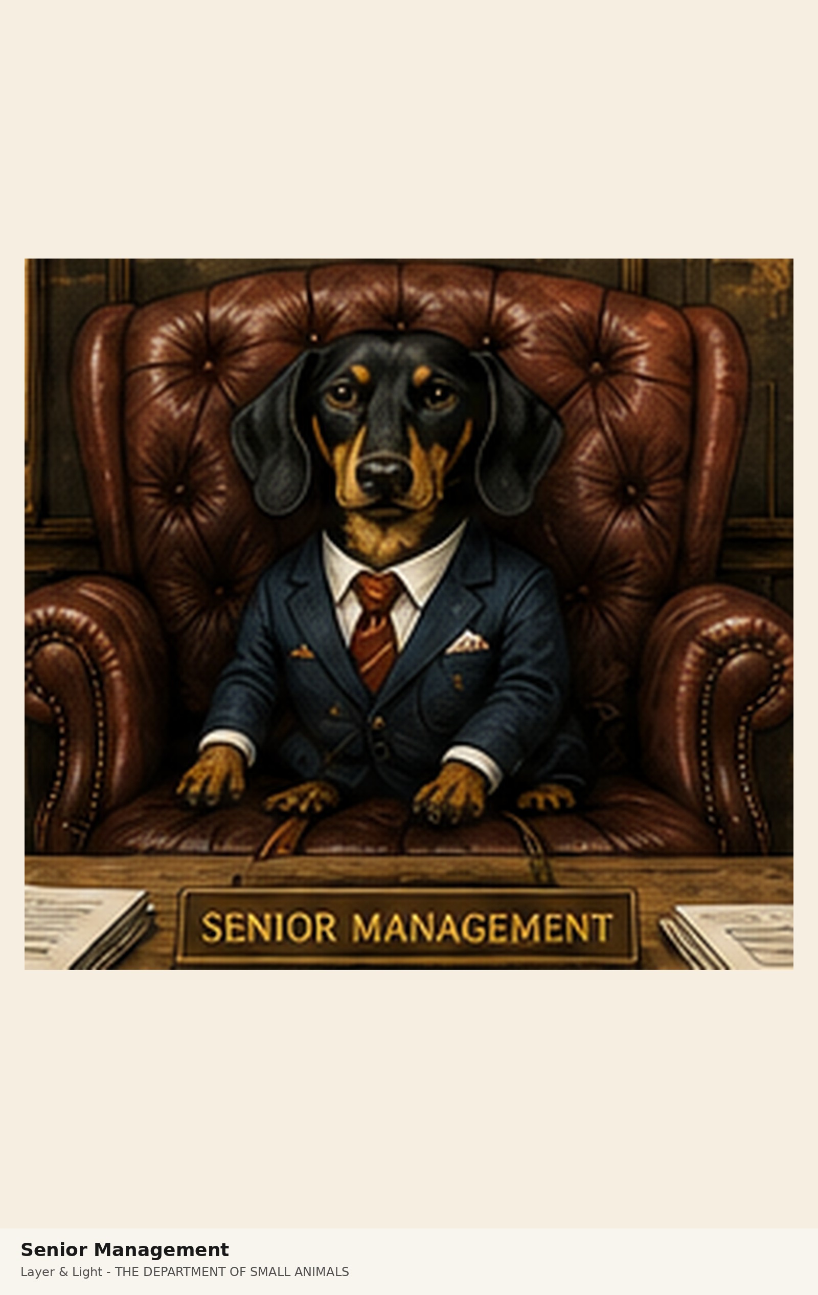 Senior Management